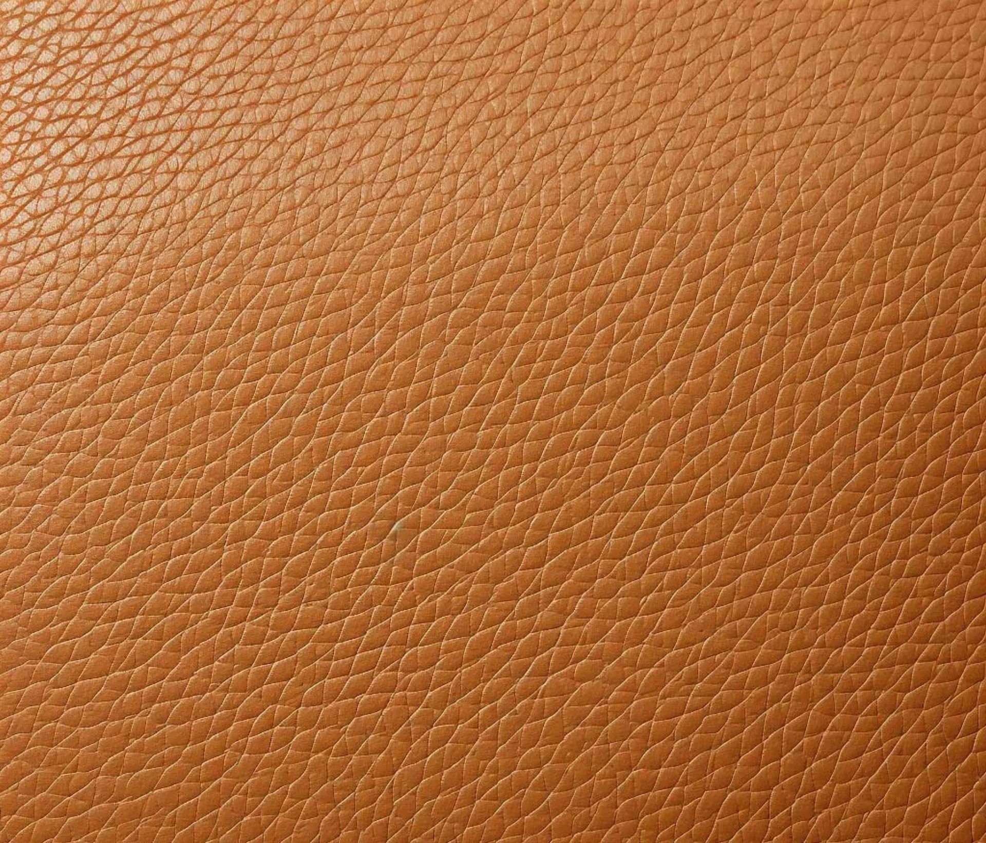 Vegan Leather